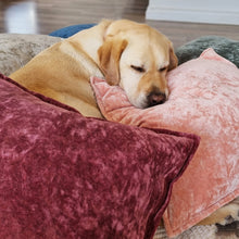 Load image into Gallery viewer, Veronica Cotton Velvet Cushion 50x50cm Grape