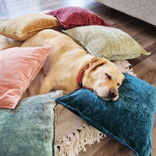 Load image into Gallery viewer, Veronica Cotton Velvet Cushion 50x50cm Sand