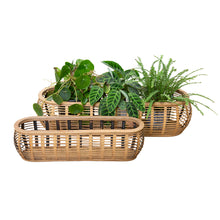 Load image into Gallery viewer, Mae Set of 2 Planters 85.5x28x20.5cm/63.5x18.5x17cm Natural
