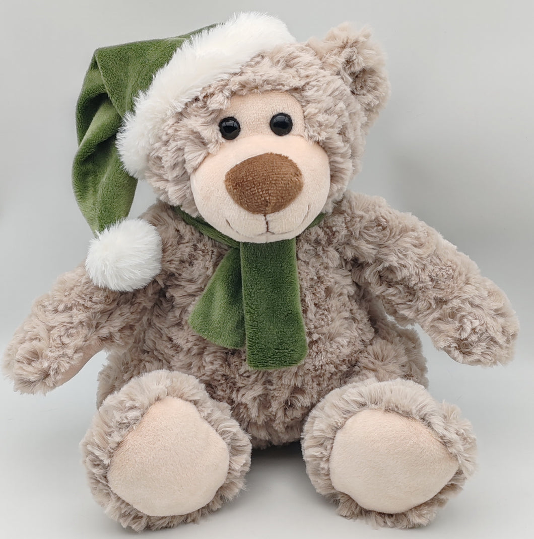 Buddy The Christmas Teddy Bear