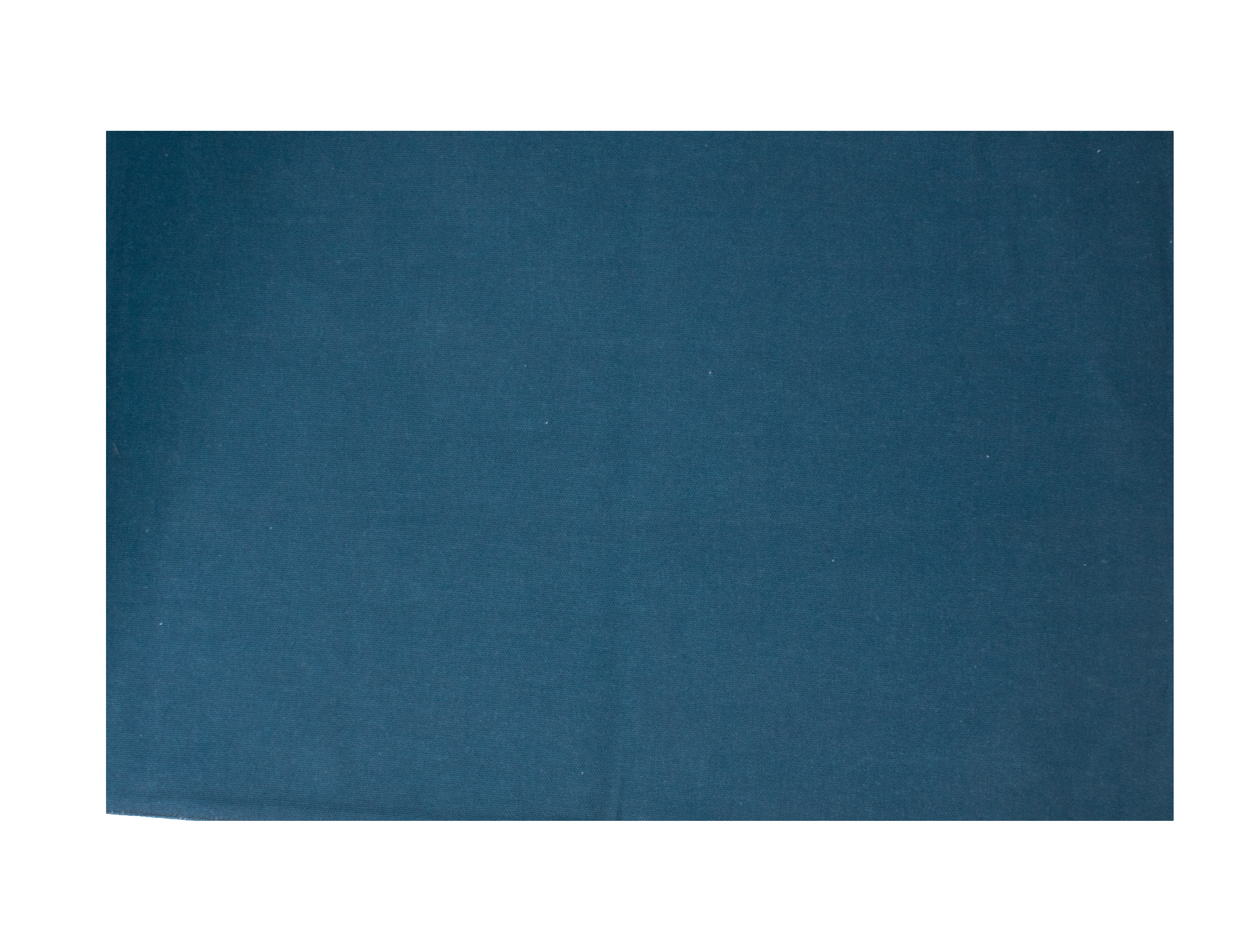Floral Sonata Reversible Placemats Set of 4 33x48cm Blue